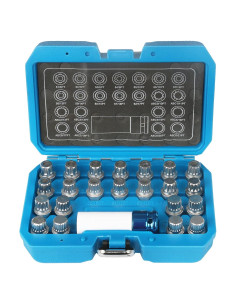 Kit de Eliminación de Tuercas de Bloqueo VW 23 Piezas con Adaptador