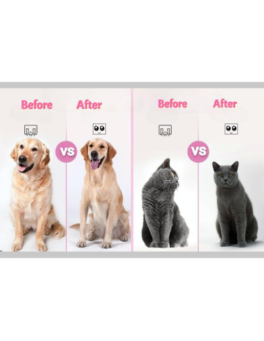 Cepillo Acicalador Suave S Y Technology para Gatos y Perros Azul