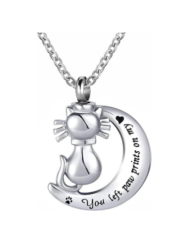 Collar Urna de Cenizas para Mascotas DWJSu 45 cm Acero Inoxidable