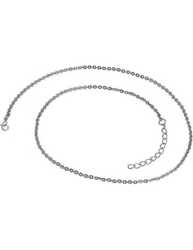 Collar Urna de Cenizas para Mascotas DWJSu 45 cm Acero Inoxidable