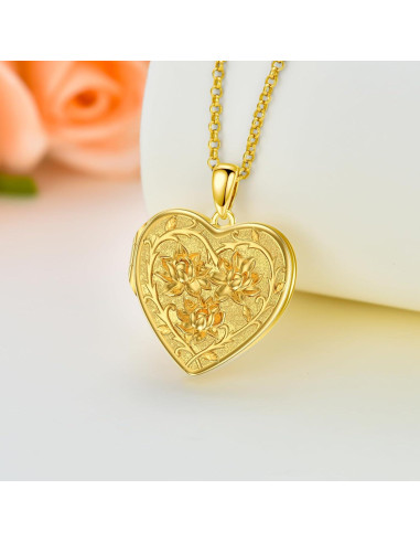 Collar medallón personalizado plata esterlina 925 con fotos