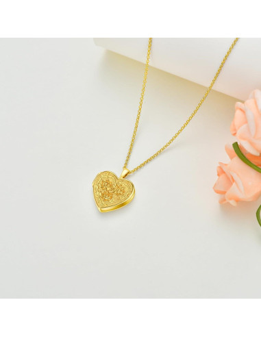 Collar medallón personalizado plata esterlina 925 con fotos