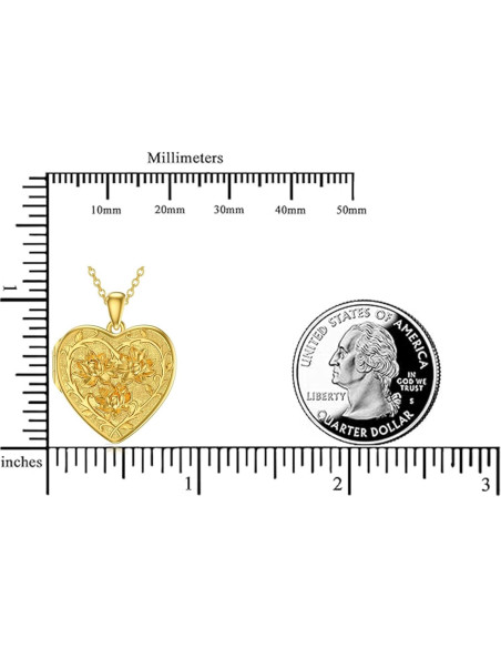 Collar medallón personalizado plata esterlina 925 con fotos