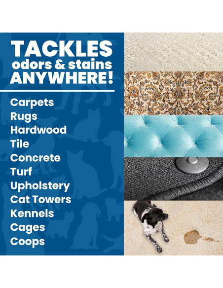 Champú para Alfombras Unique 32 oz - Eliminador de Manchas y Olores