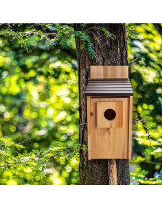 Casa de Aves de Madera Cartman 30cm Azul para Exterior 2