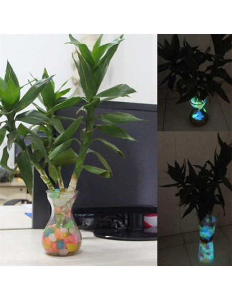 100 Piedras Luminiscentes Rosa para Jardín y Acuarios 100 Piedras Luminiscentes Rosa para Jardín y Acuarios