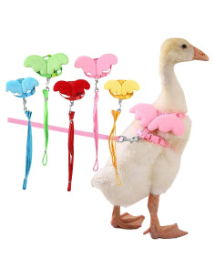 Arnés y Correa Ajustable QBLEEV para Pasear Patos y Pollos