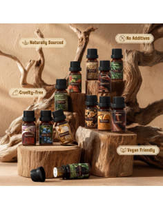 Juego de Aceites Esenciales Woody ARVIDSSON - 12 x 10ml Naturales 2