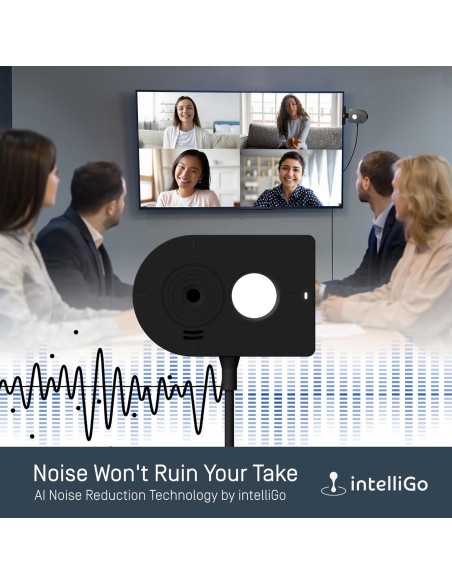 IPEVO Webcam MP-8M 4K USB con Micrófono AI y Luz LED