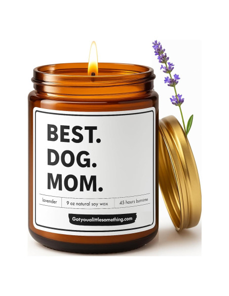 Vela Aromática de Soja Got You A Little Something 255g - Mamá Perro Vela Aromática de Soja Got You A Little Something 255g - Mamá Perro