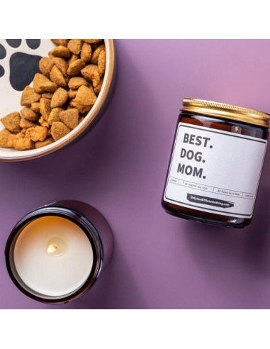 Vela Aromática de Soja Got You A Little Something 255g - Mamá Perro