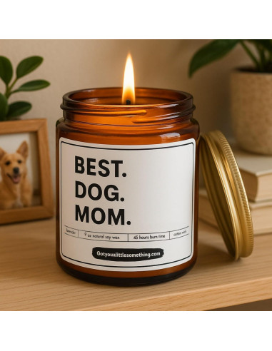 Vela Aromática de Soja Got You A Little Something 255g - Mamá Perro