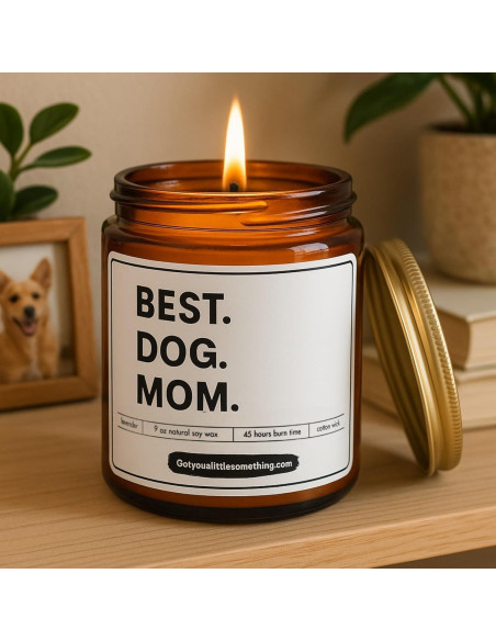 Vela Aromática de Soja Got You A Little Something 255g - Mamá Perro Vela Aromática de Soja Got You A Little Something 255g - Mamá Perro
