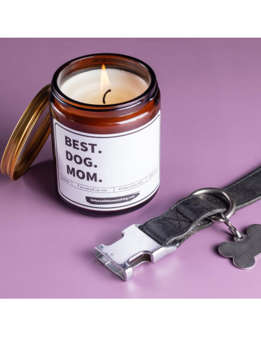 Vela Aromática de Soja Got You A Little Something 255g - Mamá Perro