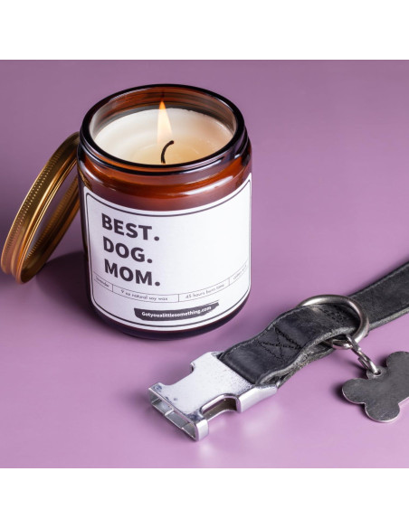 Vela Aromática de Soja Got You A Little Something 255g - Mamá Perro Vela Aromática de Soja Got You A Little Something 255g - Mamá Perro