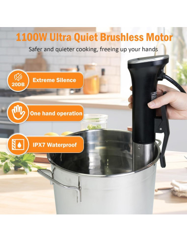 Cocinero Sous Vide auomii 1100W Acero Inoxidable Estándar