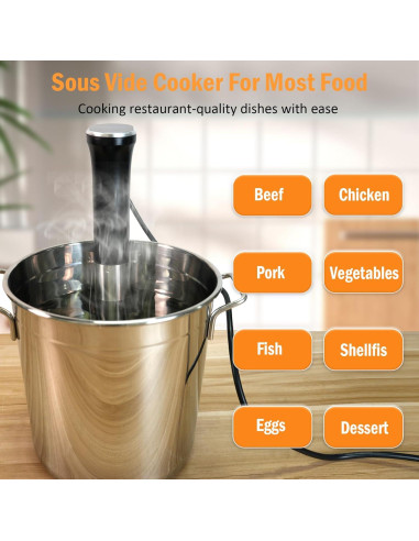 Cocinero Sous Vide auomii 1100W Acero Inoxidable Estándar