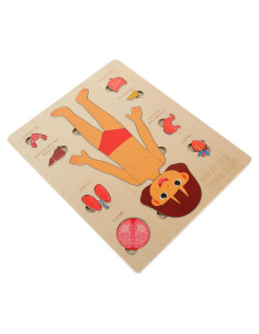 Rompecabezas de Anatomía Humana HEMOTON para Niños 22.4x17.8cm