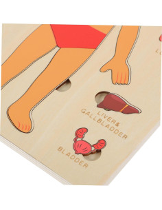 Rompecabezas de Anatomía Humana HEMOTON para Niños 22.4x17.8cm 2