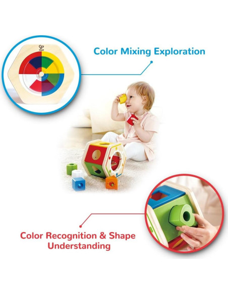 Clasificador de Formas de Madera Hape E0516 - 6 Bloques Coloridos