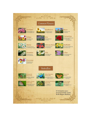 Rompecabezas Vintage de Flores 1000 Piezas PICKFORU 50x70cm