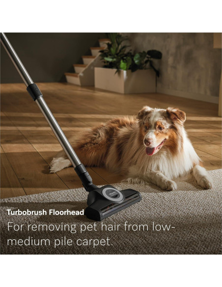 Aspiradora de cilindro Miele Guard L1 para mascotas 1200W