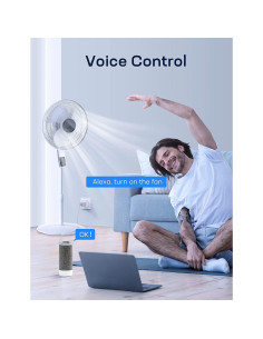 Enchufe Inteligente ZJX CT10-2 Control Remoto y Voz 2