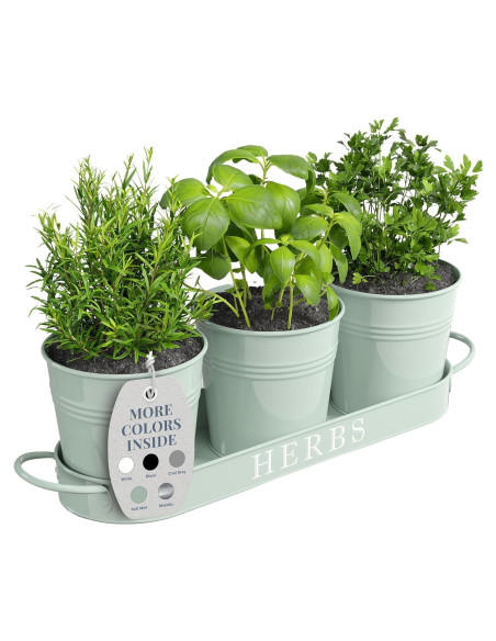 Juego de 3 Macetas de Metal para Hierbas Barnyard Verde Suave
