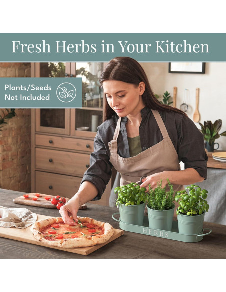 Juego de 3 Macetas de Metal para Hierbas Barnyard Verde Suave