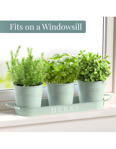 Juego de 3 Macetas de Metal para Hierbas Barnyard Verde Suave