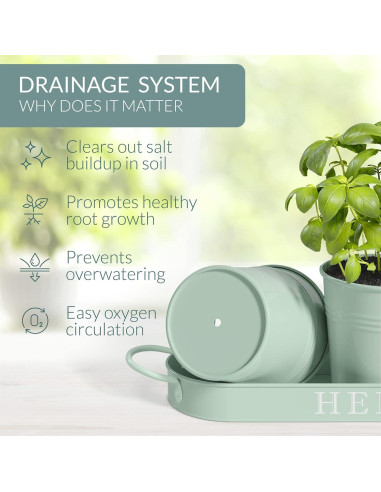 Juego de 3 Macetas de Metal para Hierbas Barnyard Verde Suave