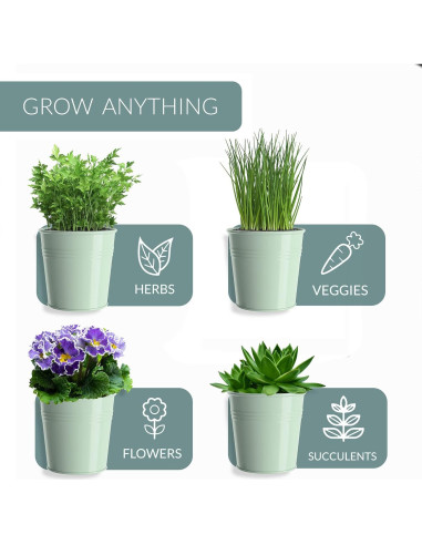 Juego de 3 Macetas de Metal para Hierbas Barnyard Verde Suave