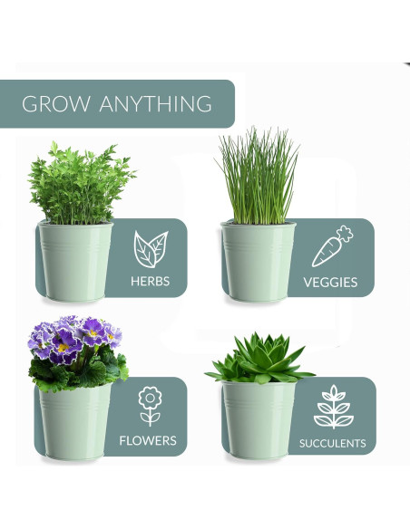 Juego de 3 Macetas de Metal para Hierbas Barnyard Verde Suave