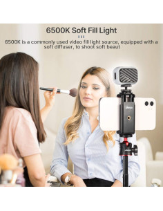 Luz LED PICTRON VL28 Recargable 5600K para Cámara y Smartphone 2