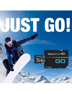 TEAMGROUP GO 256GB Micro SDXC UHS-I U3 V30 para 4K 2
