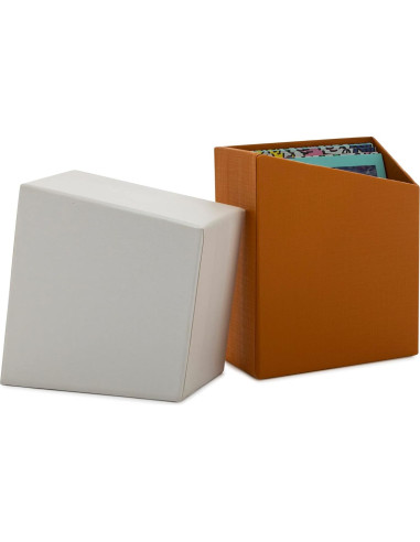 Cámara Instantánea Polaroid GO Blanca + Película Doble + Kit