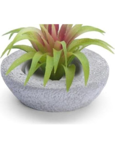 Soporte de Planta de Aire Miniatura Bonsái HASULO 7821 2