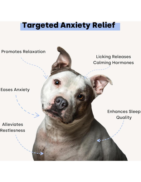 Pasta Relajante para Perros Kayode 299g - Sabor Tocino y Arándano