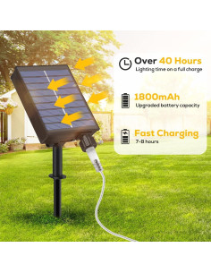 Luces de Cuerda Solares ICRGB 20m 200LED IP67 Control Remoto 2