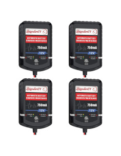 Cargador de Batería LEICESTERCN 12V 750mA 4 Piezas