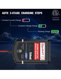 Cargador de Batería LEICESTERCN 12V 750mA 4 Piezas 2