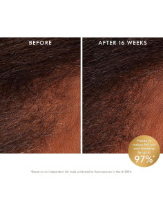 Tratamiento Revitalizante Moroccanoil para Cuero Cabelludo 109g 2