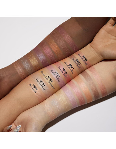 Iluminador Facial en Polvo FOCALLURE WT01 El Planeta Hielo