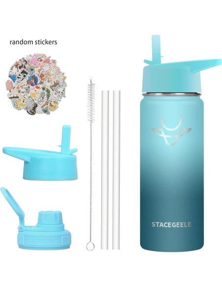 Botella de Agua Aislada STACEGEELE 550ml Tapa Popote Hush