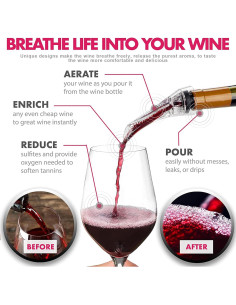 Aireador de Vino Jwalin - Vertedor Sin Goteo para Tintos y Blancos 2