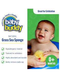 Esponja de Mar Natural Baby Buddy para Bebés - Hipoalergénica 2