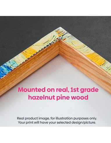 Lienzo Botanico Brilliant Blossoms II Canvas Lab 60x60 cm