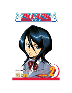 Bleach, Vol. 2