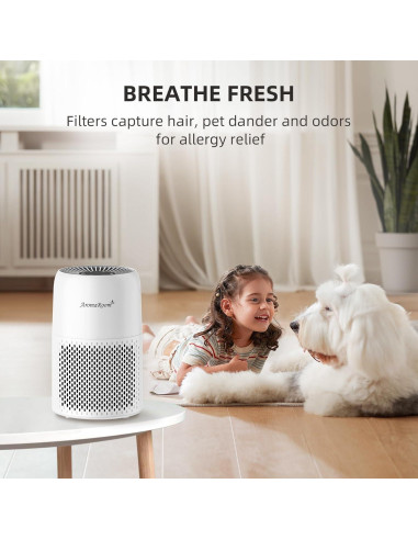 Purificador de Aire AromaRoom AP100-C con Aromaterapia 2 Pcs