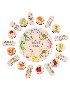 Juguete Educativo de Ciclo de Vida KidSweeties 3-6 años